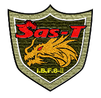 SAS-T I.B.F.q